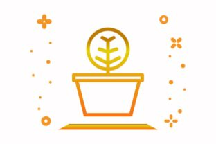 Decorative Plant: Enhancing Spaces with Style and Versatility